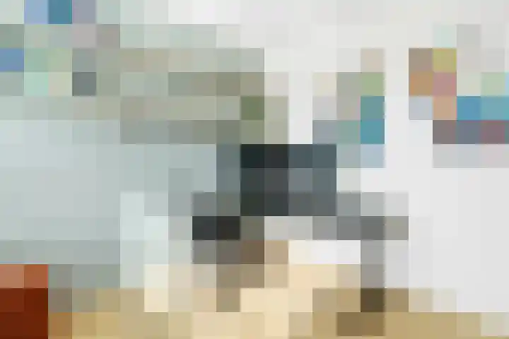 Van Maanenware 40 Zwolle thumbnail 23
