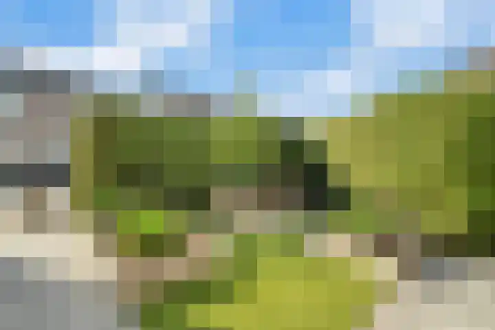 Van Maanenware 40 Zwolle thumbnail 29