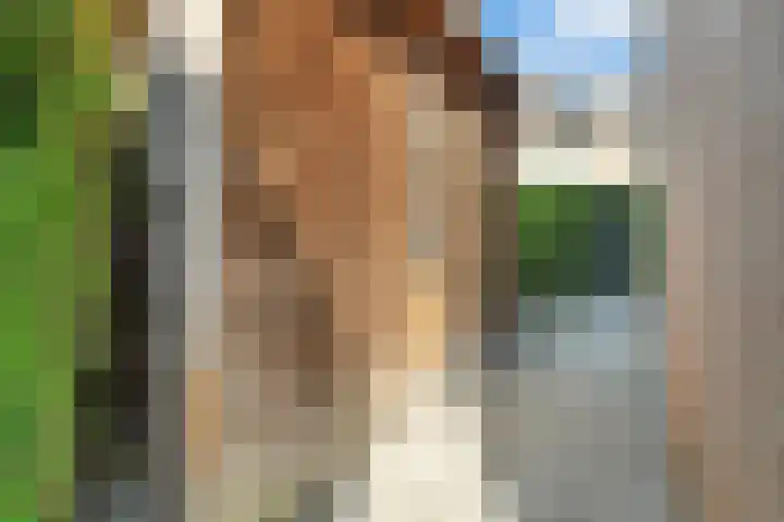 Van Maanenware 40 Zwolle thumbnail 30
