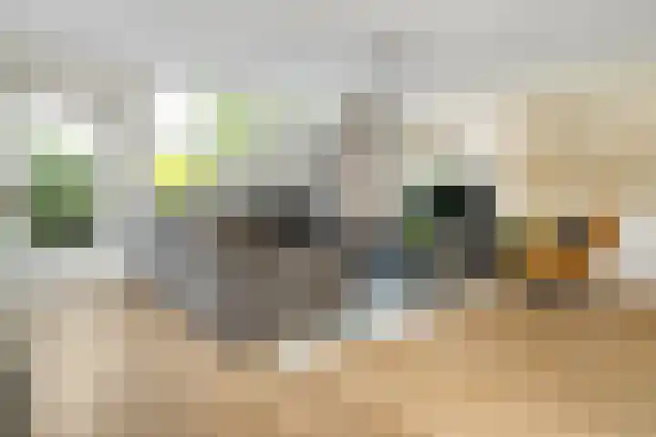Van Maanenware 40 Zwolle thumbnail 4