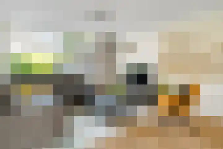 Van Maanenware 40 Zwolle thumbnail 5