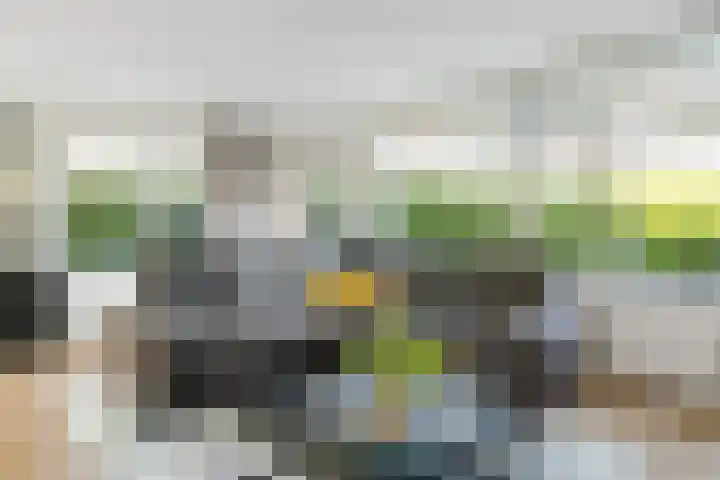 Van Maanenware 40 Zwolle thumbnail 6