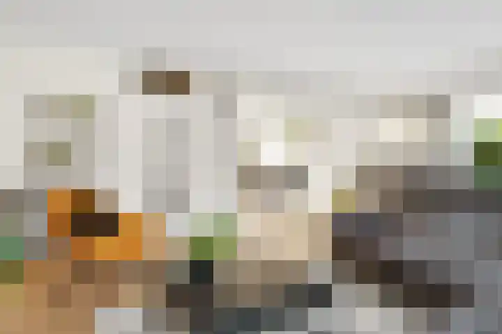 Van Maanenware 40 Zwolle thumbnail 7