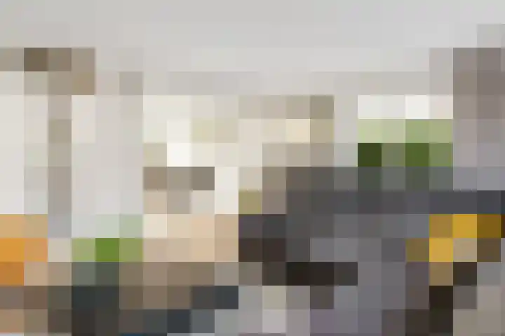 Van Maanenware 40 Zwolle thumbnail 8