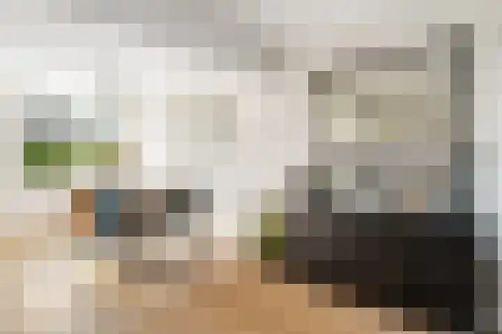 Van Maanenware 40 Zwolle thumbnail 9