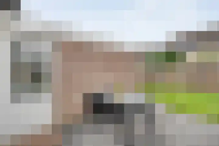 Van Maanenware 50 Zwolle thumbnail 25