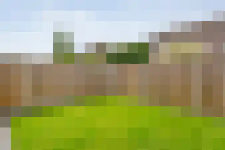 Van Maanenware 50 Zwolle thumbnail 26