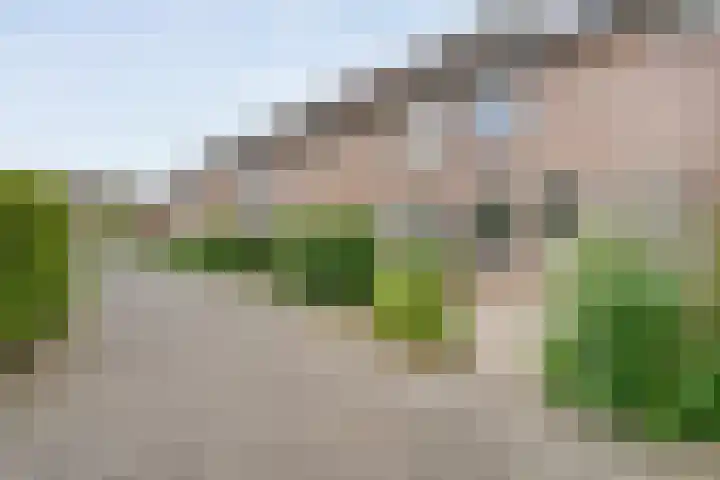 Van Maanenware 50 Zwolle thumbnail 30
