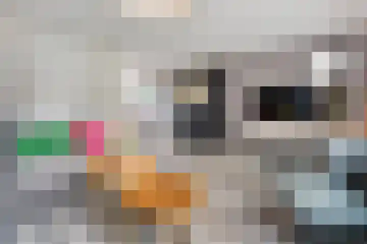 Van Maanenware 50 Zwolle thumbnail 8