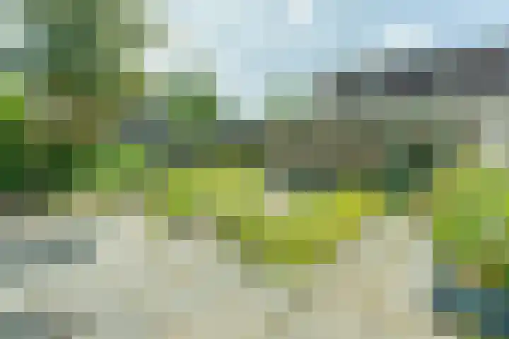 van Maarenplein 27 Soesterberg thumbnail 13