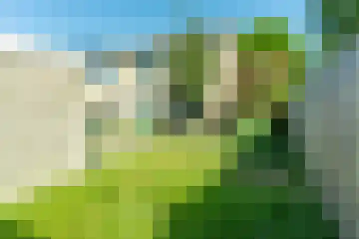 van Maarenplein 27 Soesterberg thumbnail 14