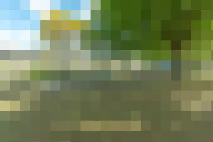 van Maarenplein 27 Soesterberg thumbnail 18