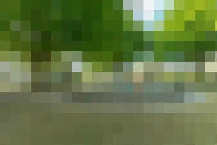 van Maarenplein 27 Soesterberg thumbnail 19