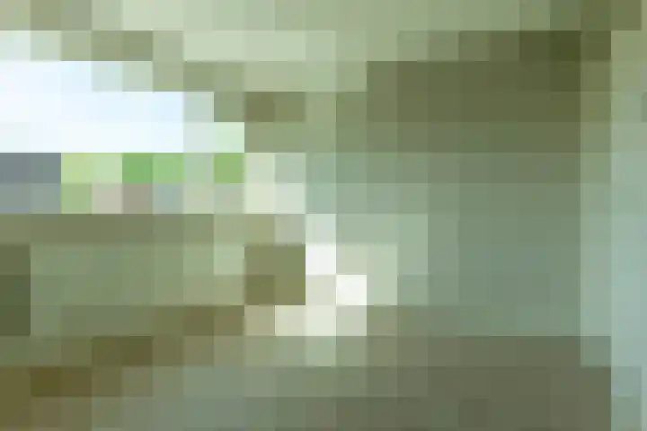 van Maarenplein 27 Soesterberg thumbnail 25