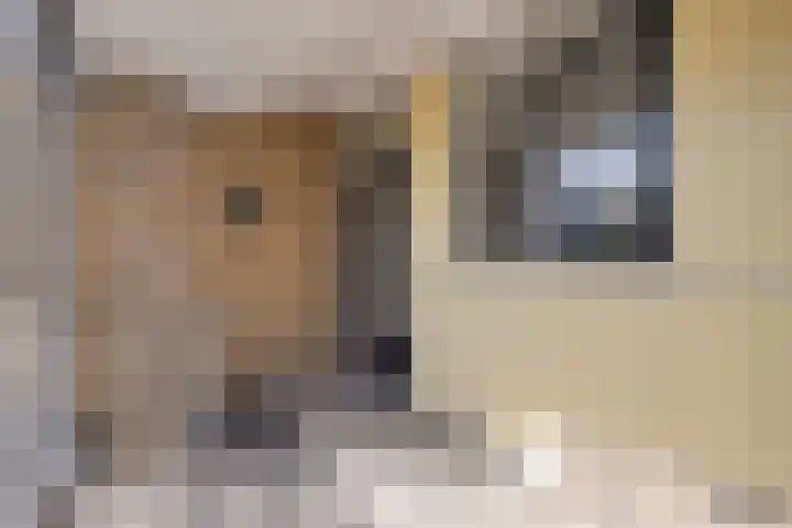 Van Maarseveenstraat 31 Tilburg thumbnail 11