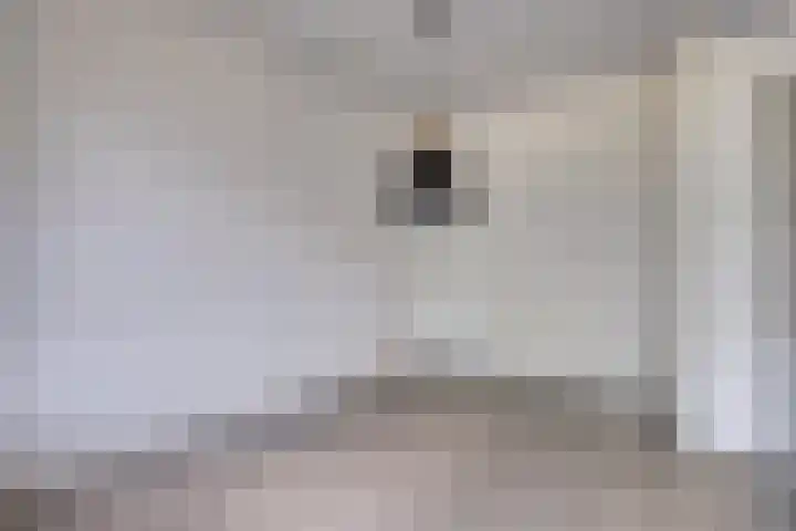 Van Maarseveenstraat 31 Tilburg thumbnail 19