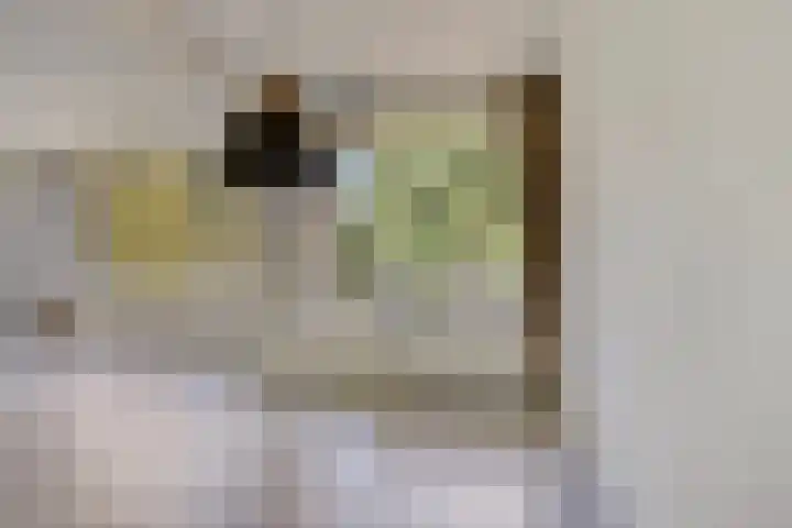 Van Maarseveenstraat 31 Tilburg thumbnail 20