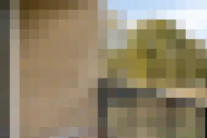 Van Maarseveenstraat 31 Tilburg thumbnail 34