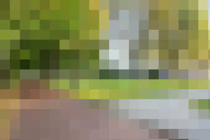 Van Maarseveenstraat 31 Tilburg thumbnail 37