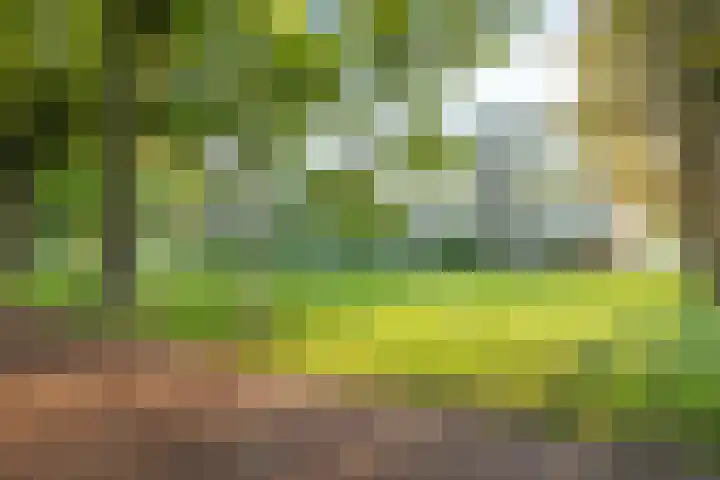 Van Maarseveenstraat 31 Tilburg thumbnail 38