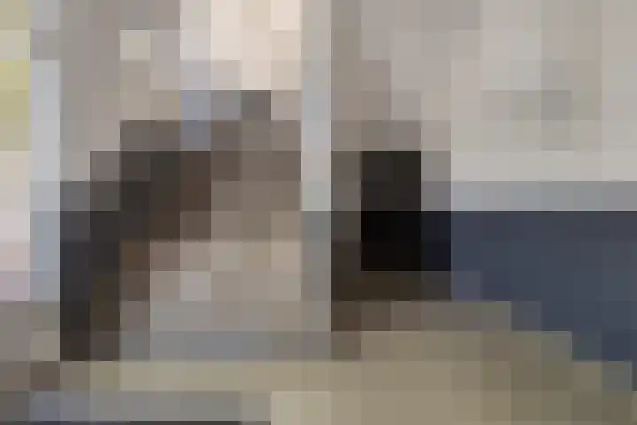 Van Maarseveenstraat 31 Tilburg thumbnail 8