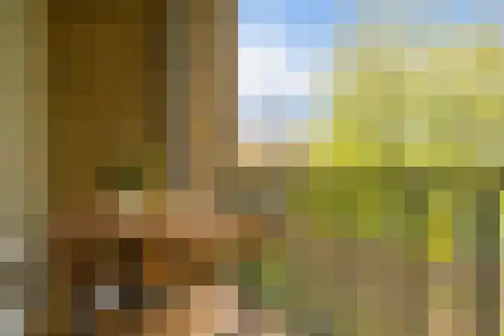 Van Maarseveenstraat 33 Tilburg thumbnail 12