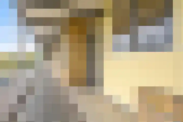 Van Maarseveenstraat 33 Tilburg thumbnail 23