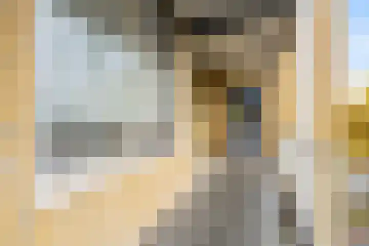 Van Maarseveenstraat 33 Tilburg thumbnail 24