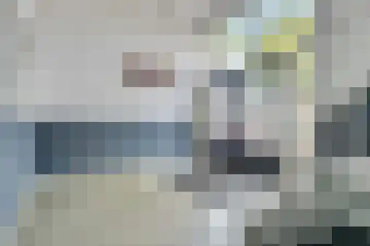 Van Maarseveenstraat 33 Tilburg thumbnail 25