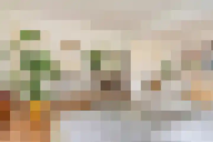 Van Maarseveenstraat 33 Tilburg thumbnail 6