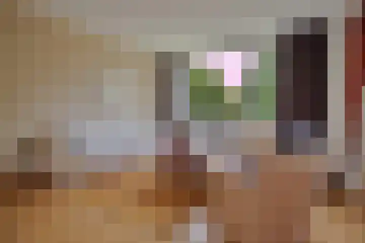 Van Maarseveenstraat 47 Tilburg thumbnail 13