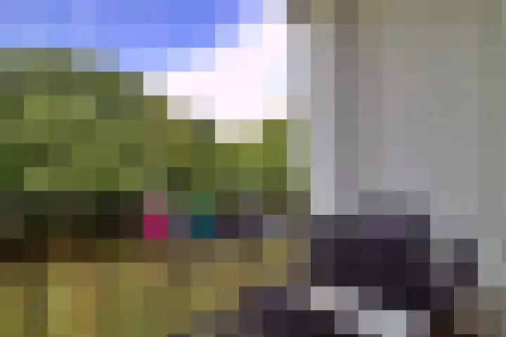 Van Maarseveenstraat 47 Tilburg thumbnail 18