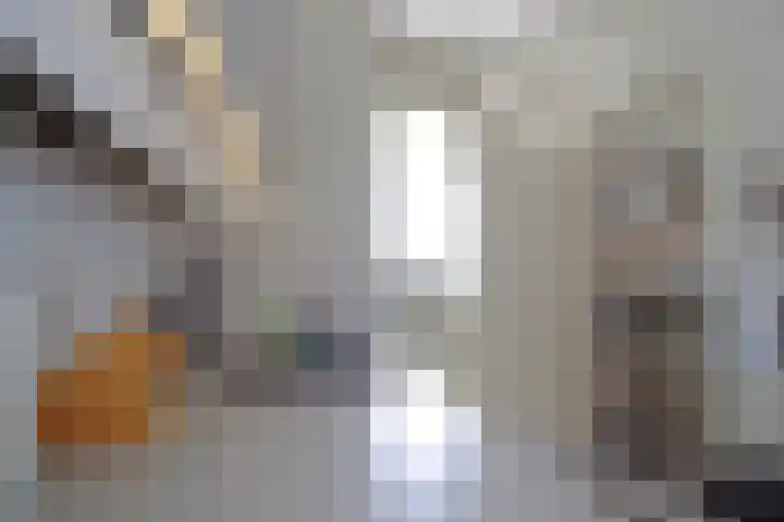 Van Maarseveenstraat 47 Tilburg thumbnail 28
