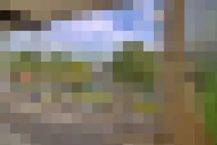 Van Maarseveenstraat 47 Tilburg thumbnail 37