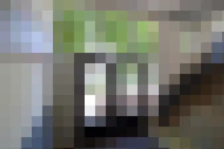 Van Maarseveenstraat 47 Tilburg thumbnail 45