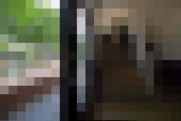 Van Maarseveenstraat 47 Tilburg thumbnail 46