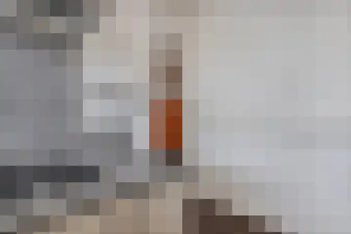 Van Maarseveenstraat 9 Tilburg thumbnail 17