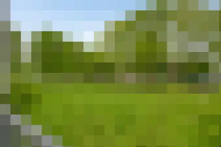 Van Maarseveenstraat 9 Tilburg thumbnail 25