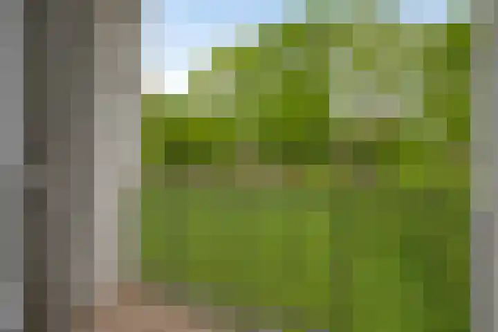 Van Maarseveenstraat 9 Tilburg thumbnail 26