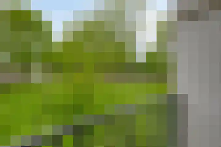 Van Maarseveenstraat 9 Tilburg thumbnail 27