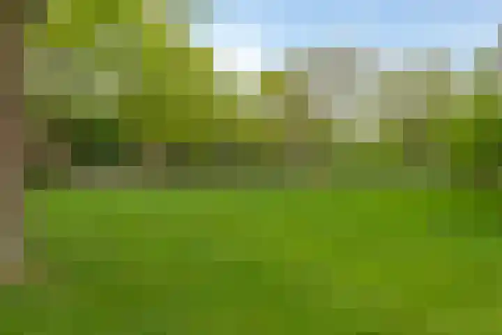 Van Maarseveenstraat 9 Tilburg thumbnail 35
