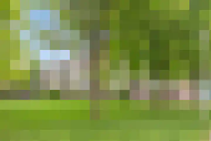 Van Maarseveenstraat 9 Tilburg thumbnail 36