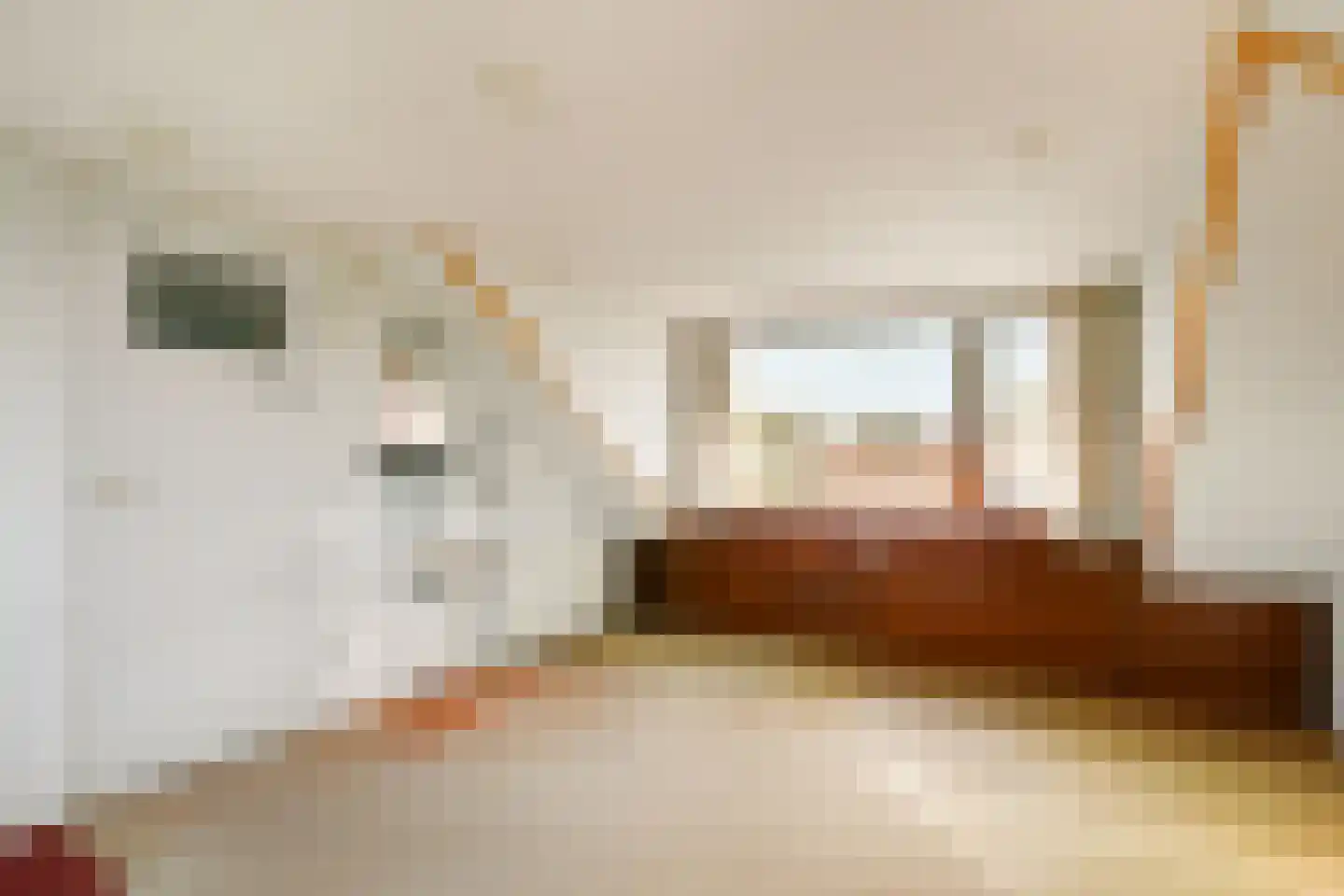 Van Maasdijklaan 2 Amstelveen thumbnail 29