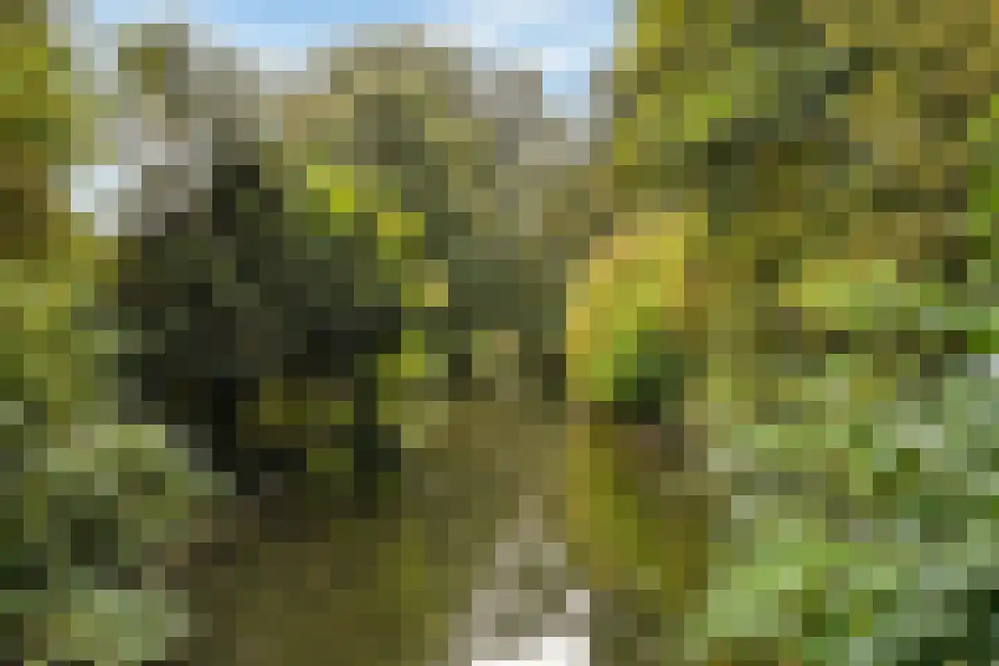 Van Maasdijklaan 2 Amstelveen thumbnail 32