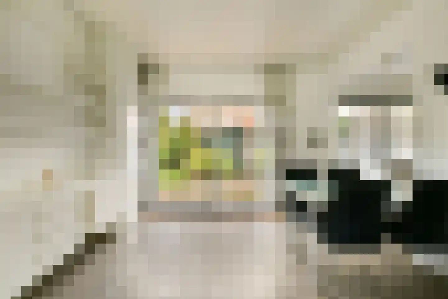 Van Maasdijklaan 2 Amstelveen thumbnail 4