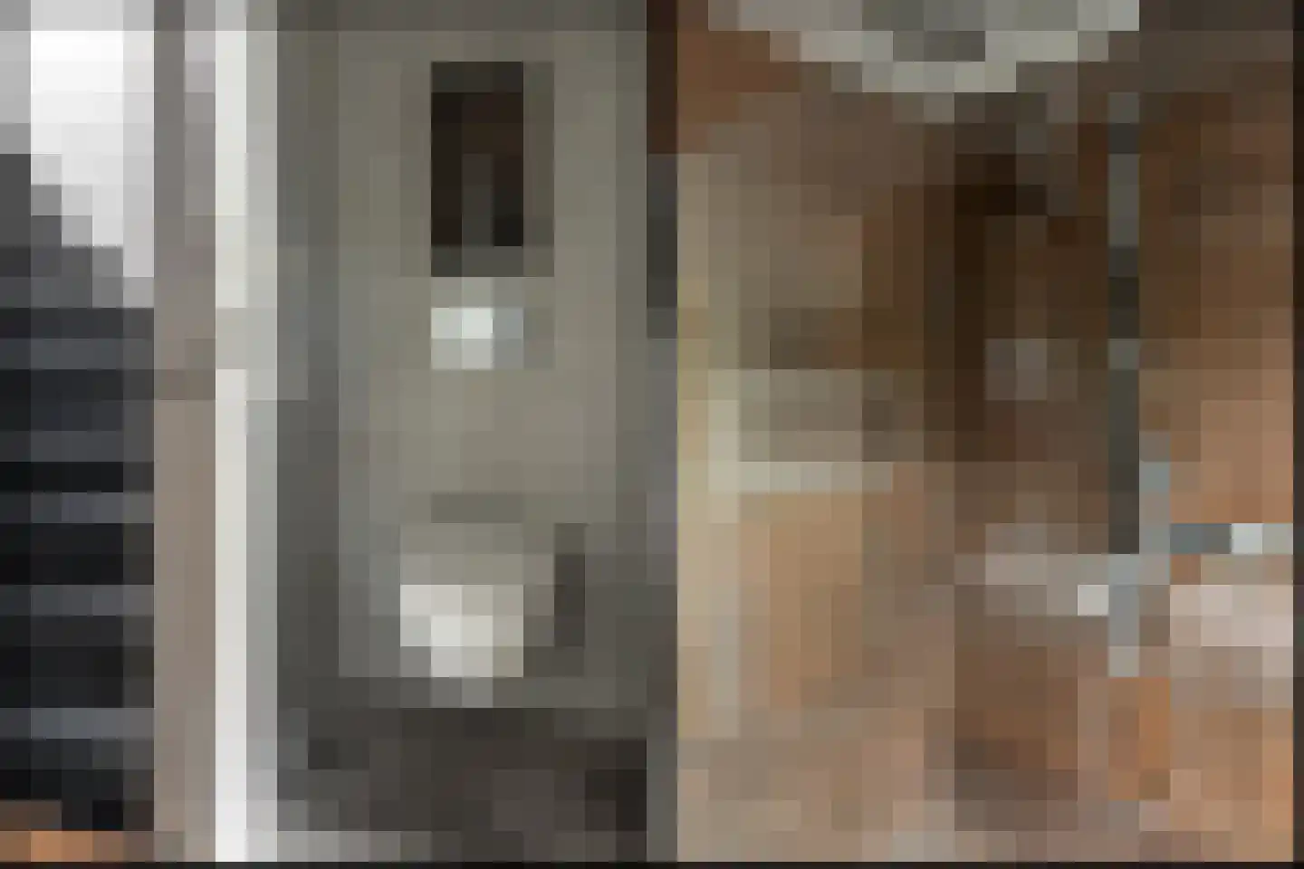 van Maasdijkstraat 3 Heerenveen thumbnail 33