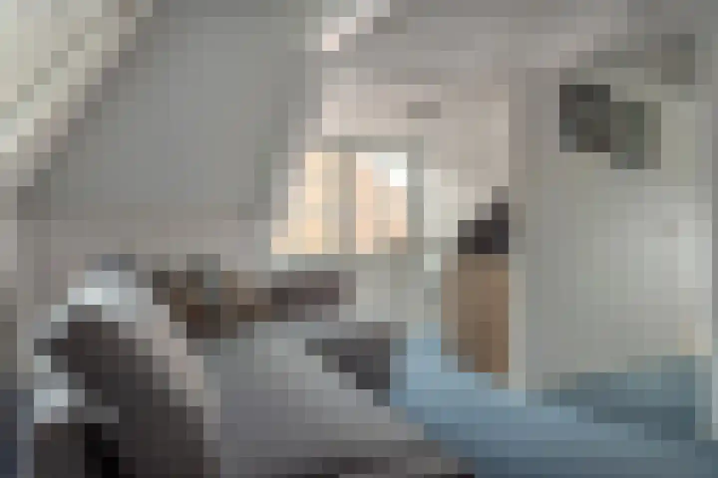 van Maasdijkstraat 3 Heerenveen thumbnail 37