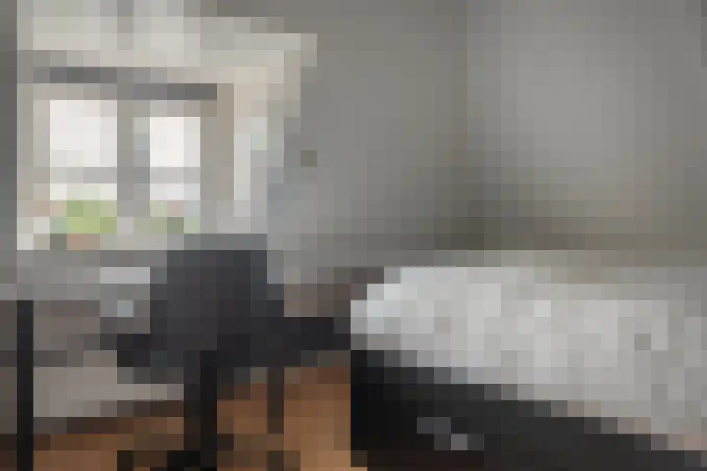 van Maasdijkstraat 3 Heerenveen thumbnail 39