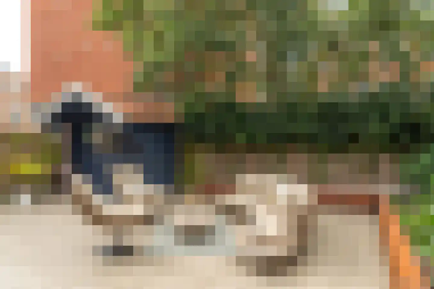 van Maasdijkstraat 3 Heerenveen thumbnail 43
