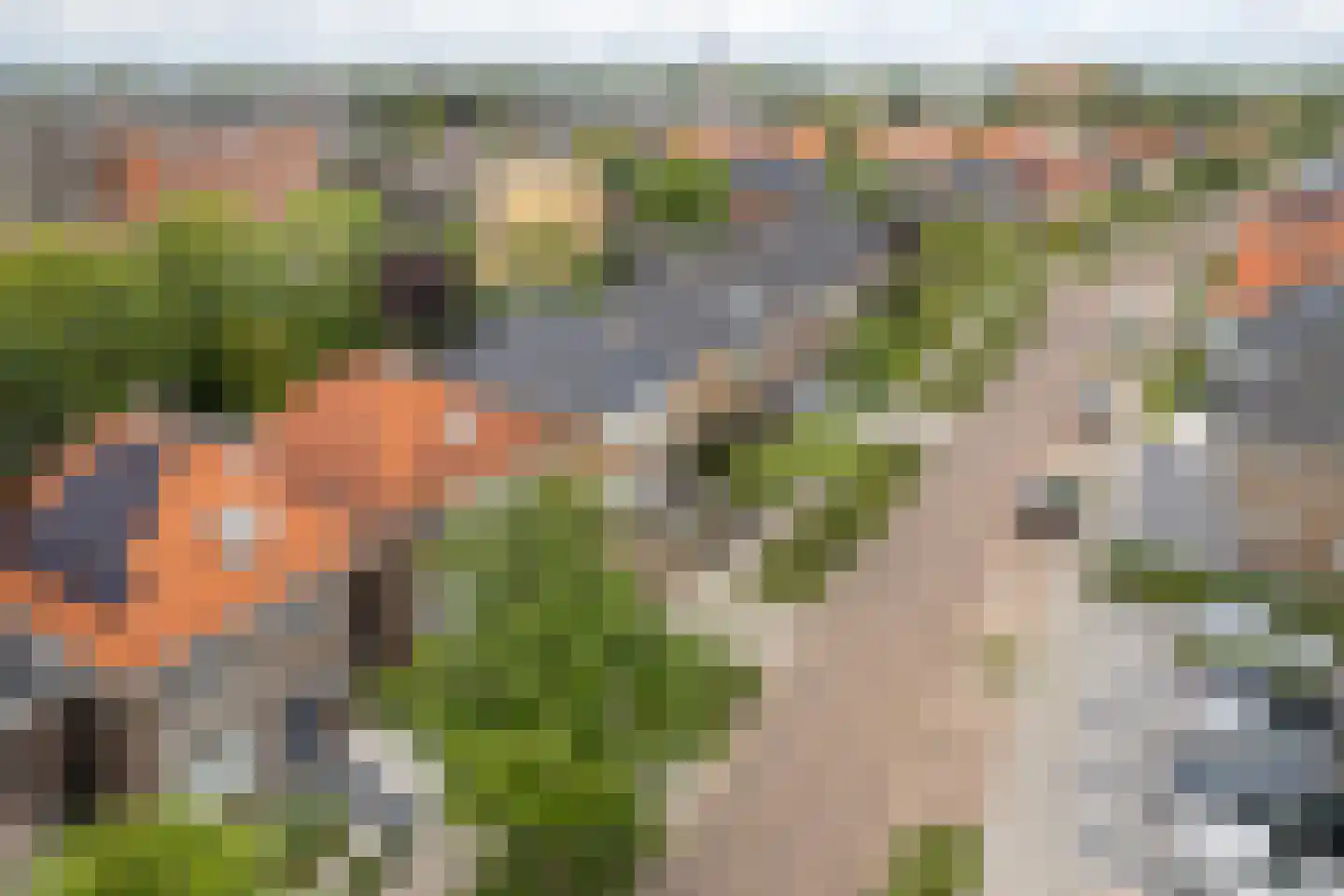 van Maasdijkstraat 3 Heerenveen thumbnail 45